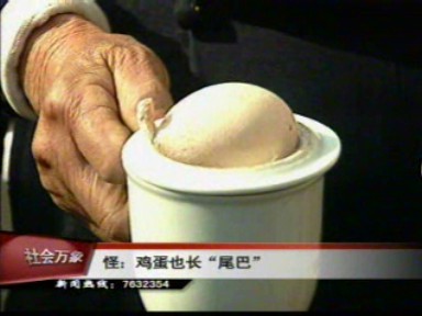 怪:雞蛋也長(zhǎng)尾巴