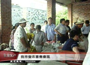 今年蠶農(nóng)喜獲豐收