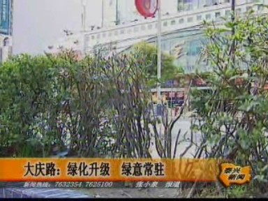 大慶路:綠化升級(jí) 綠意常駐