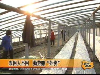 農(nóng)閑人不閑 勤勞賺“外快”