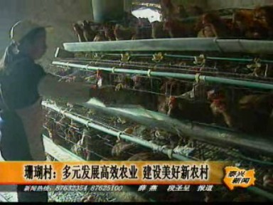 珊瑚村:多元發(fā)展高效農(nóng)業(yè) 建設(shè)美好新農(nóng)村