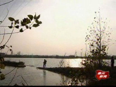 六萬(wàn)畝魚(yú)苗放養(yǎng)結(jié)束 高效益魚(yú)種增加