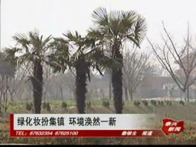 綠化裝扮集鎮(zhèn) 環(huán)境渙然一新